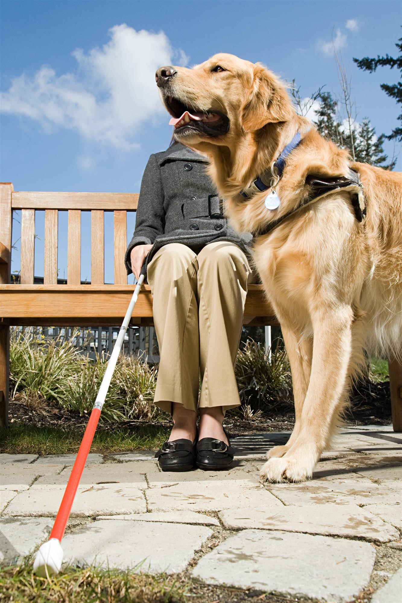blind and dog | ADA Solutions - Tactile Warning Surfaces