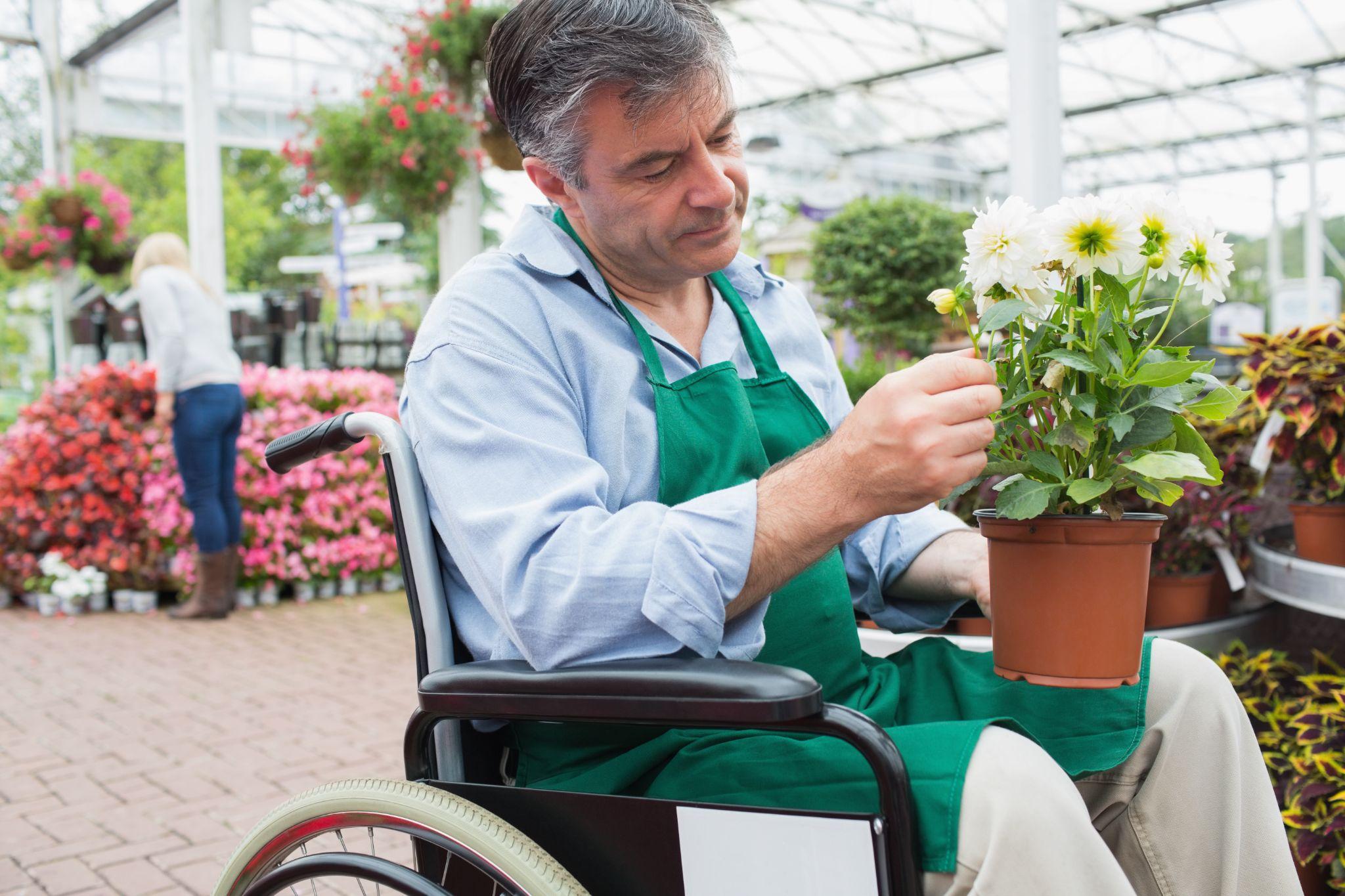 Garden center worker in wheelchair holding potted plant